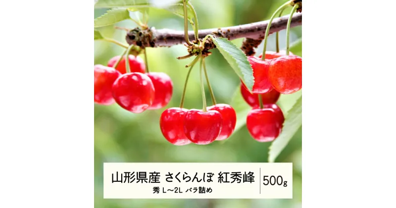 【ふるさと納税】 《先行予約》2025年 山形県産 さくらんぼ 紅秀峰 バラ詰 500g 秀 L〜2L F20A-920 ※沖縄・離島への配送不可