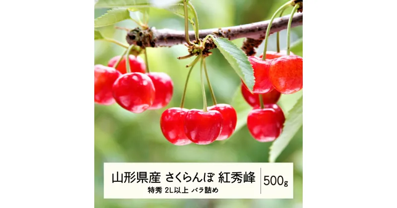 【ふるさと納税】 《先行予約》2025年 山形県産 さくらんぼ 紅秀峰 バラ詰 500g 特秀 2L以上 F20A-923 ※沖縄・離島への配送不可