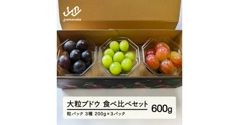 【ふるさと納税】 《先行予約》2024年 山形県山辺町産 大粒ブドウの3種類食べ比べセット！粒パック600g（200g×3）シャインマスカット・雄宝・ナガノパープル・バイオレットキング・マイハート 2024年9月中旬から順次発送 F21A-242