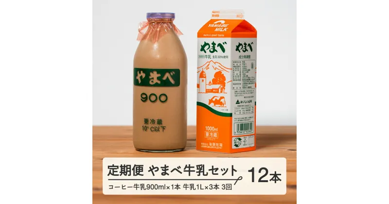 【ふるさと納税】【定期便】山形県産 やまべ牛乳セット (牛乳 1L×3・コーヒー牛乳 900ml×1) ×3回 F21A-323