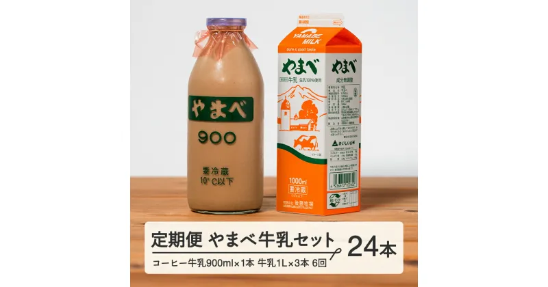 【ふるさと納税】【定期便】山形県産 やまべ牛乳セット (牛乳 1L×3・コーヒー牛乳 900ml×1) ×6回 F21A-324