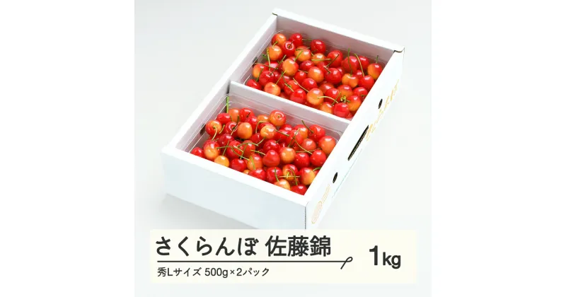 【ふるさと納税】さくらんぼ 佐藤錦 秀Lサイズ プレゼント ギフト バラ詰め 1kg（500g×2パック） 2025年産 令和7年産 山形県産 ns-snslb1