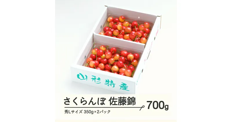 【ふるさと納税】さくらんぼ 佐藤錦 秀Lサイズ プレゼント ギフト バラ詰め 700g（350g×2パック） 2025年産 令和7年産 山形県産 ns-snslb700