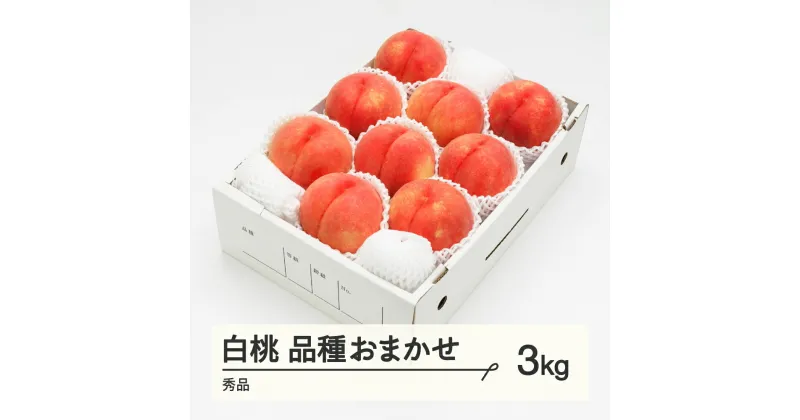 【ふるさと納税】もも 白桃 秀品 品種おまかせ 化粧箱入り 約3kg 令和7年産 2025年産 山形県産 果物 送料無料 ns-mohtx3※沖縄・離島への配送不可