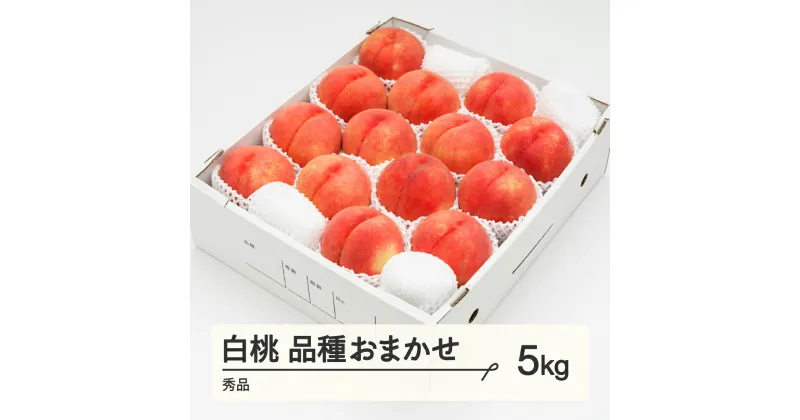 【ふるさと納税】もも 白桃 秀品 品種おまかせ 化粧箱入り 約5kg 令和7年産 2025年産 山形県産 果物 送料無料 ns-mohtx5※沖縄・離島への配送不可