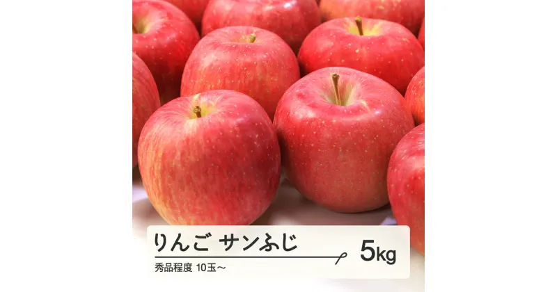 【ふるさと納税】 りんご サンふじ 秀品程度 約5kg(10~20個程度) 山形県産 tf-risfs5