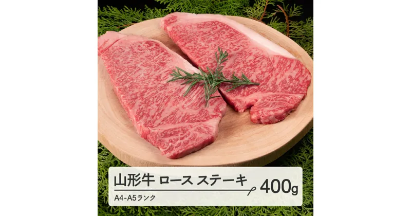 【ふるさと納税】 山形牛 ロース ステーキ 2枚 計400g A4-A5ランク 冷凍 高橋畜産 tc-gnrxt400 ※沖縄・離島への配送不可